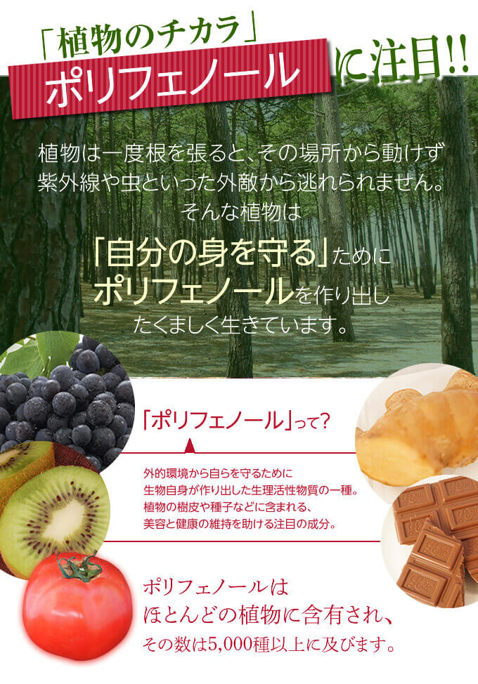 「植物のチカラ」ポリフェノールに注目!!