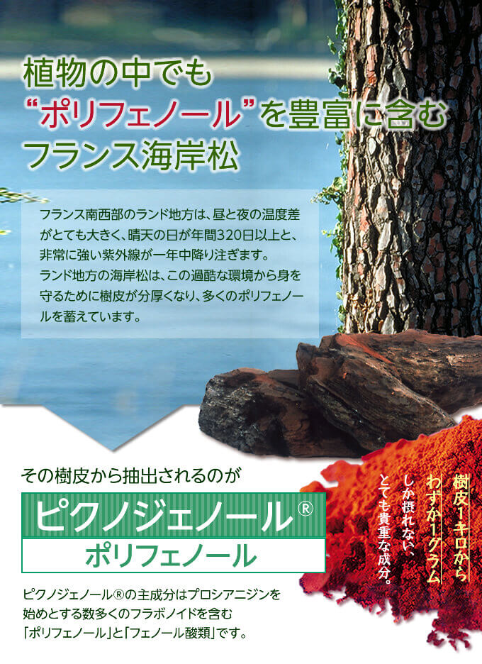 植物の中でも