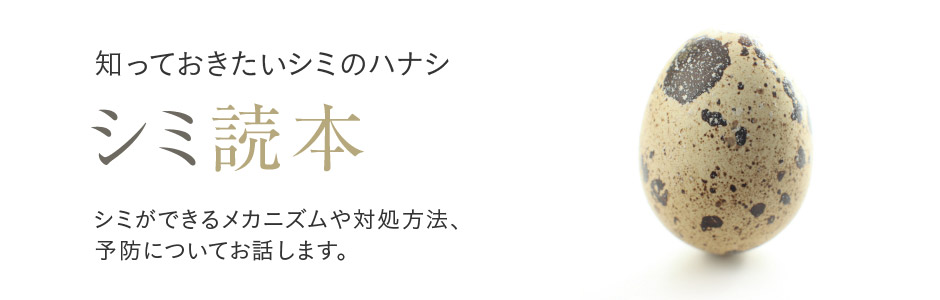 知っておきたいシミのハナシ