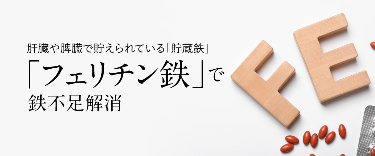 フェリチン鉄の効果 体内の鉄分を調節する