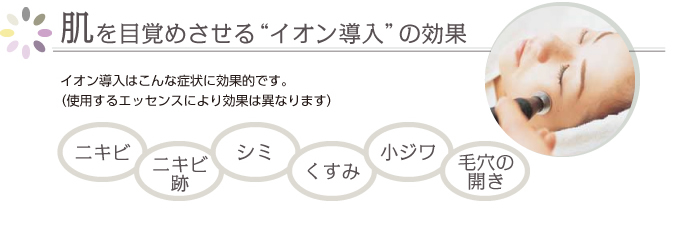 イオン導入器 効果を実感 エクセレントメディカル