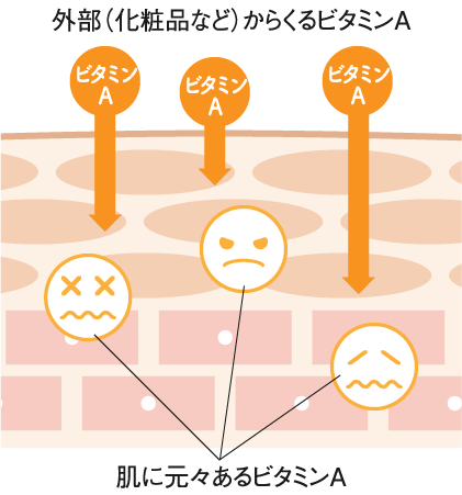 ビタミンaの効果効能について Mbty