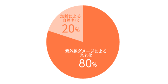 [肌の老化] 紫外線によるダメージ 割合