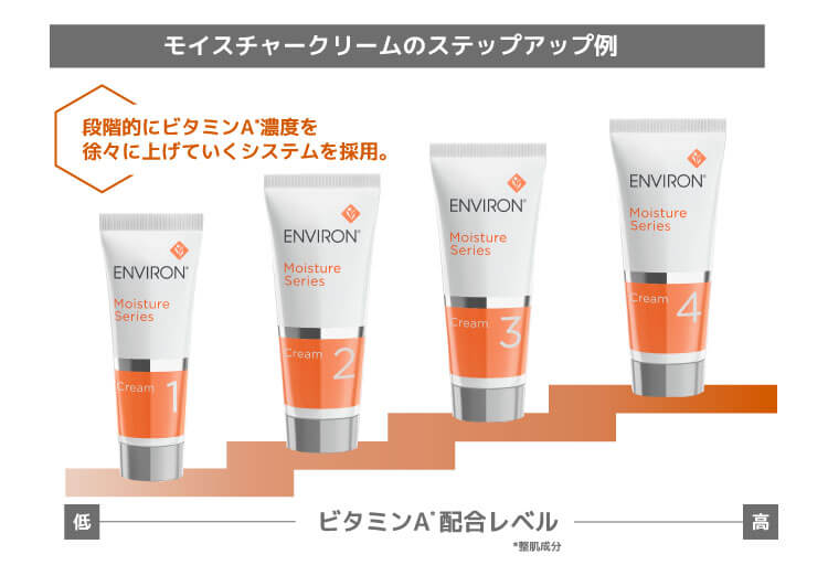 モイスチャークリーム5 エンビロン environ