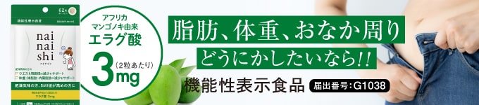 ナイナイシ