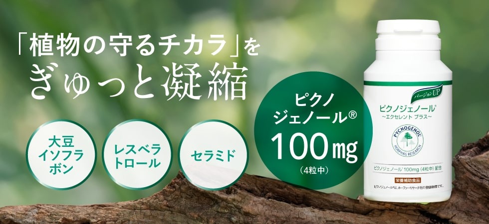 ピクノジェノール