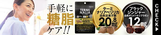 ターミナリアガード