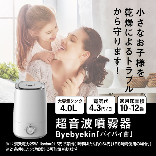 次亜塩素酸水 噴霧器 加湿器 RL-W2011 ジアニスト 2.5L