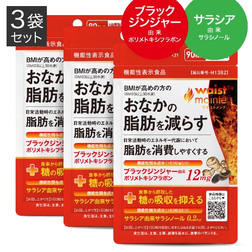 ウエストメンテ ブラックジンジャー 皮下脂肪 内臓脂肪 機能性表示食品