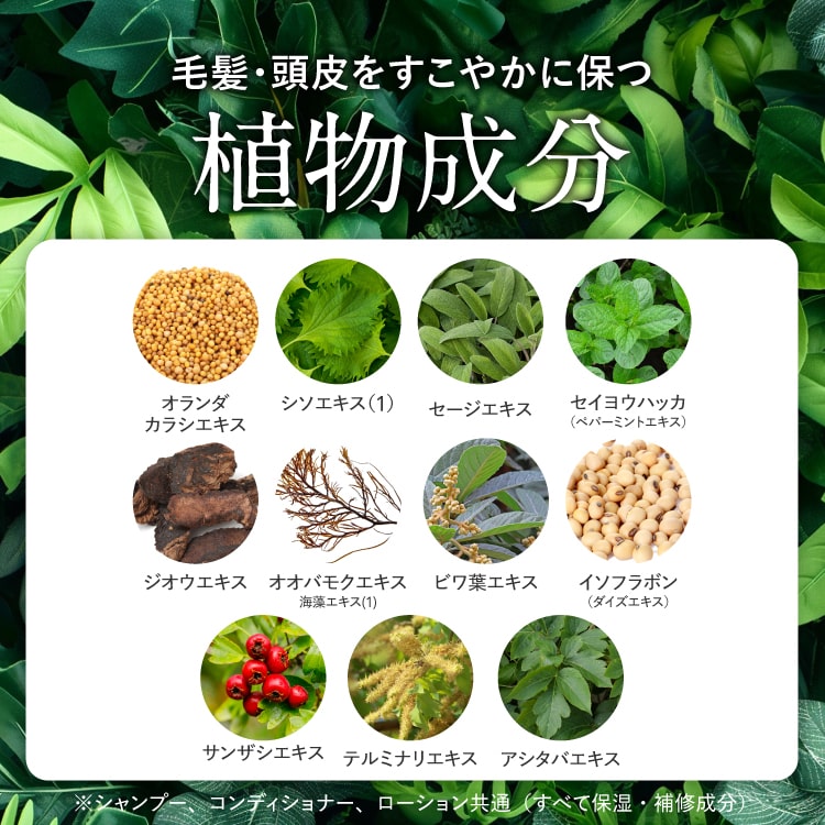ハーグ ( HARG ) 薬用HGドクターズヘアケアシリーズ HG MD