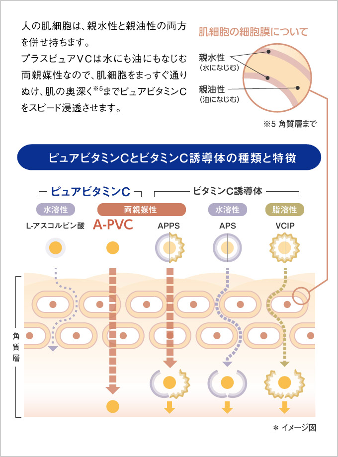 プラスピュアVC10