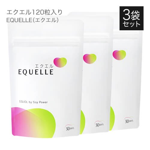 大塚製薬エクエルパウチ120粒×3袋