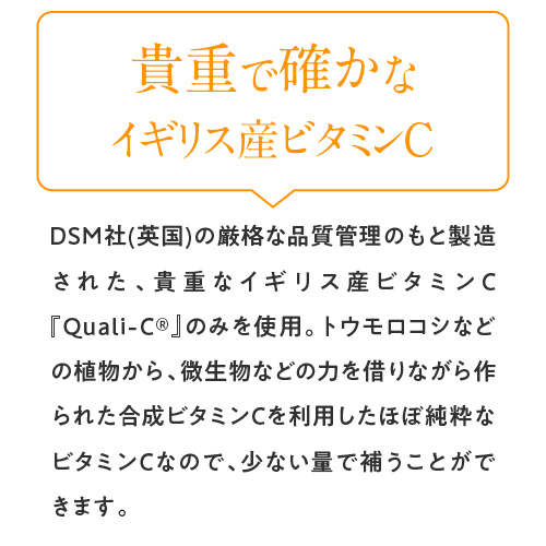 ワカサプリ ビタミンC 30包 2箱セット