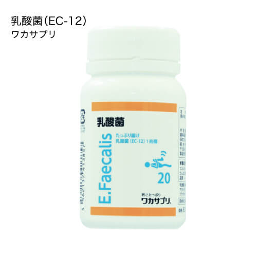 ワカサプリ　乳酸菌（EC-12(90粒)