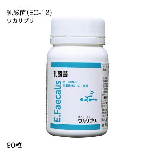 ワカサプリ 乳酸菌（EC-12）90粒