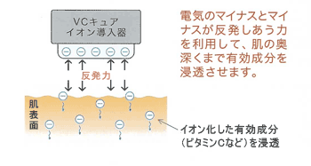 デルファーマ 通販 | 医療機関専用ホームピーリング化粧品