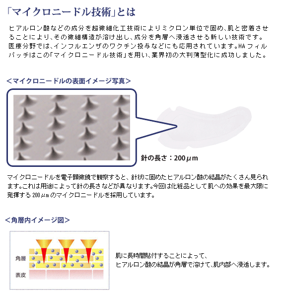 マイクロニードル技術とは ナビジョン/マイクロニードル技術
