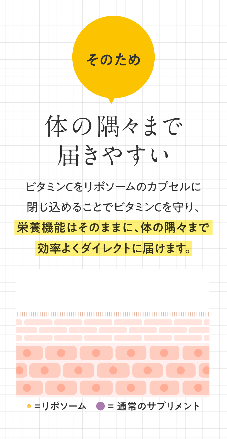 定期購入 リポソームサプリメント リポフルVC 2箱セット