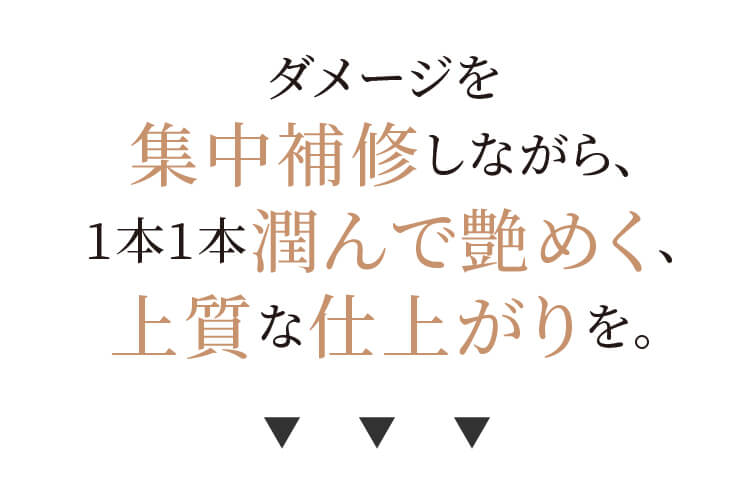 シードカクテルオイル お試し 5包