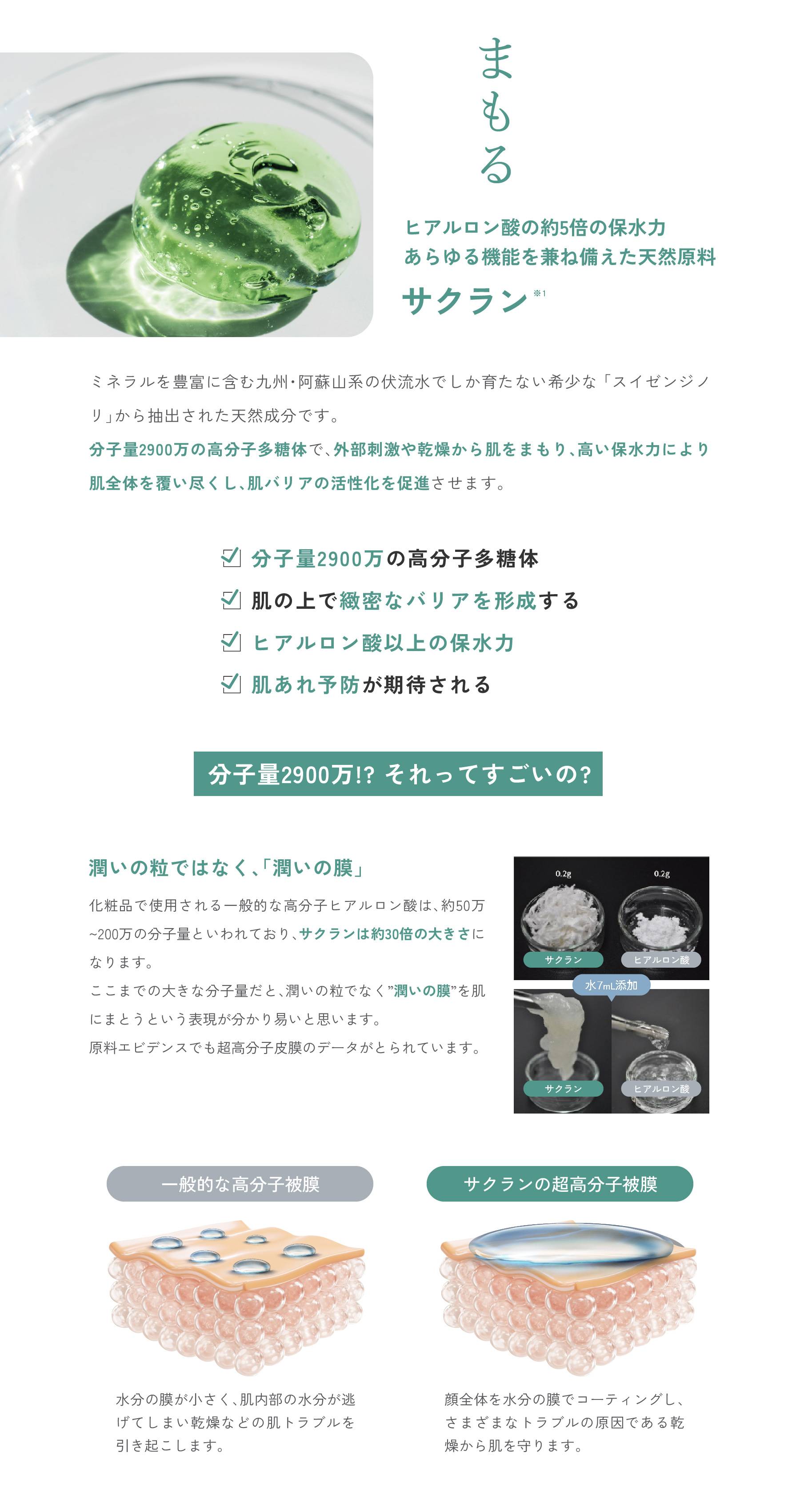 サクラン / 高分子多糖体 / 保水