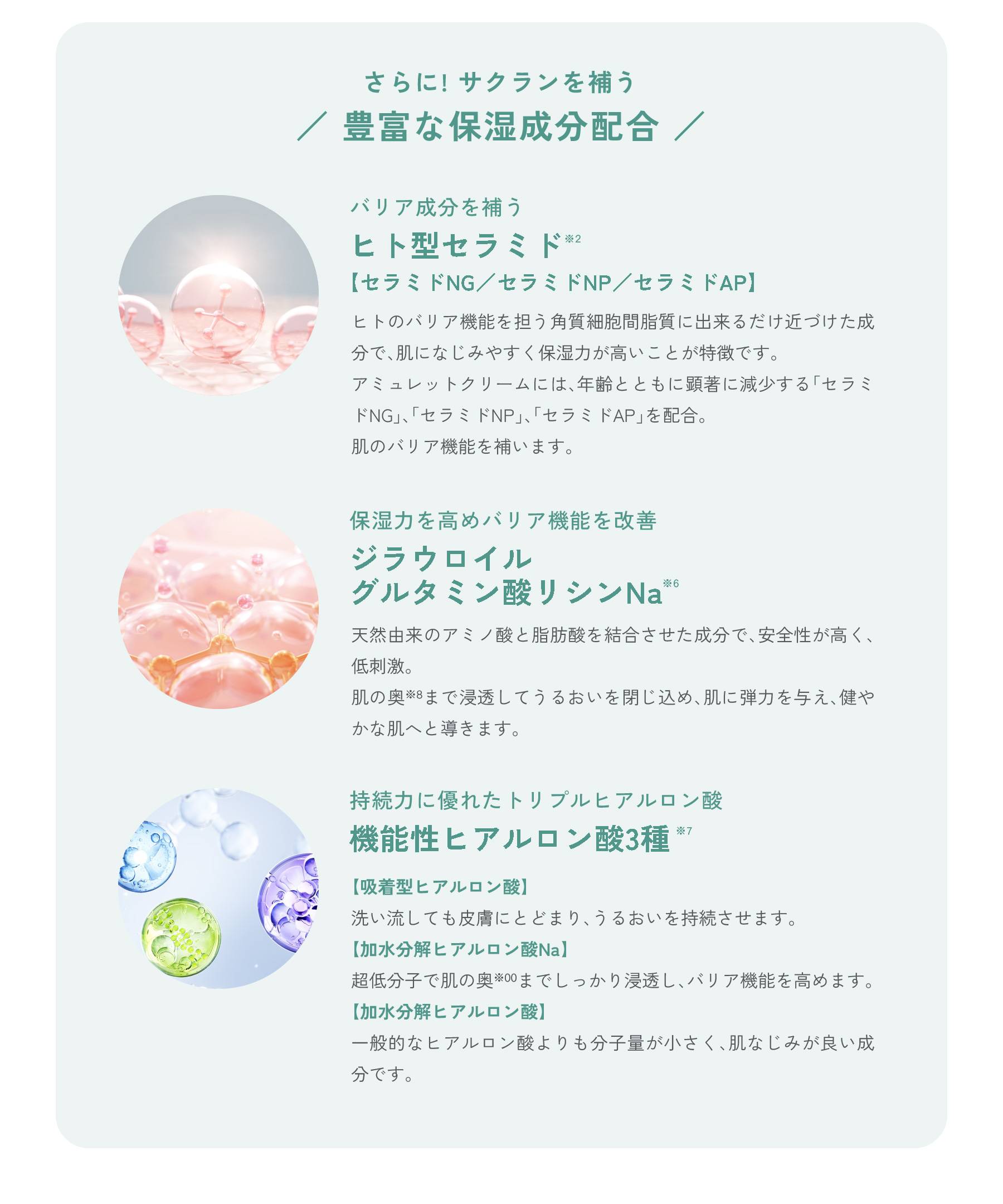 ヒト型セラミド / 機能性ヒアルロン酸