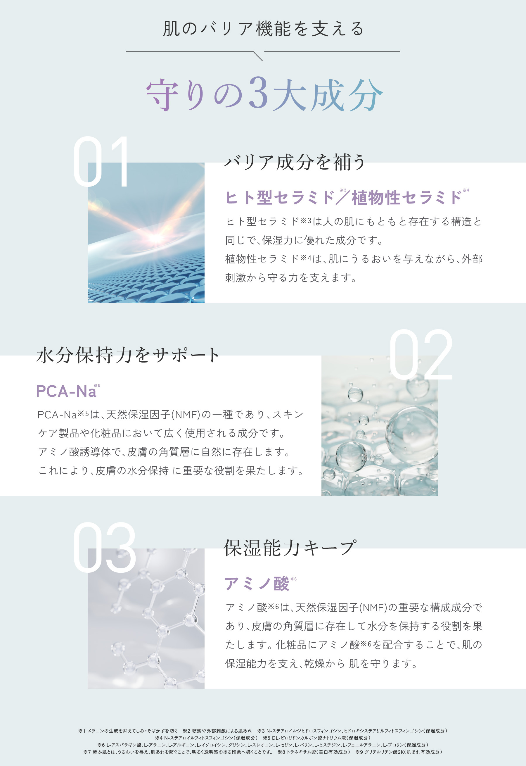 ヒト型セラミド / アミノ酸