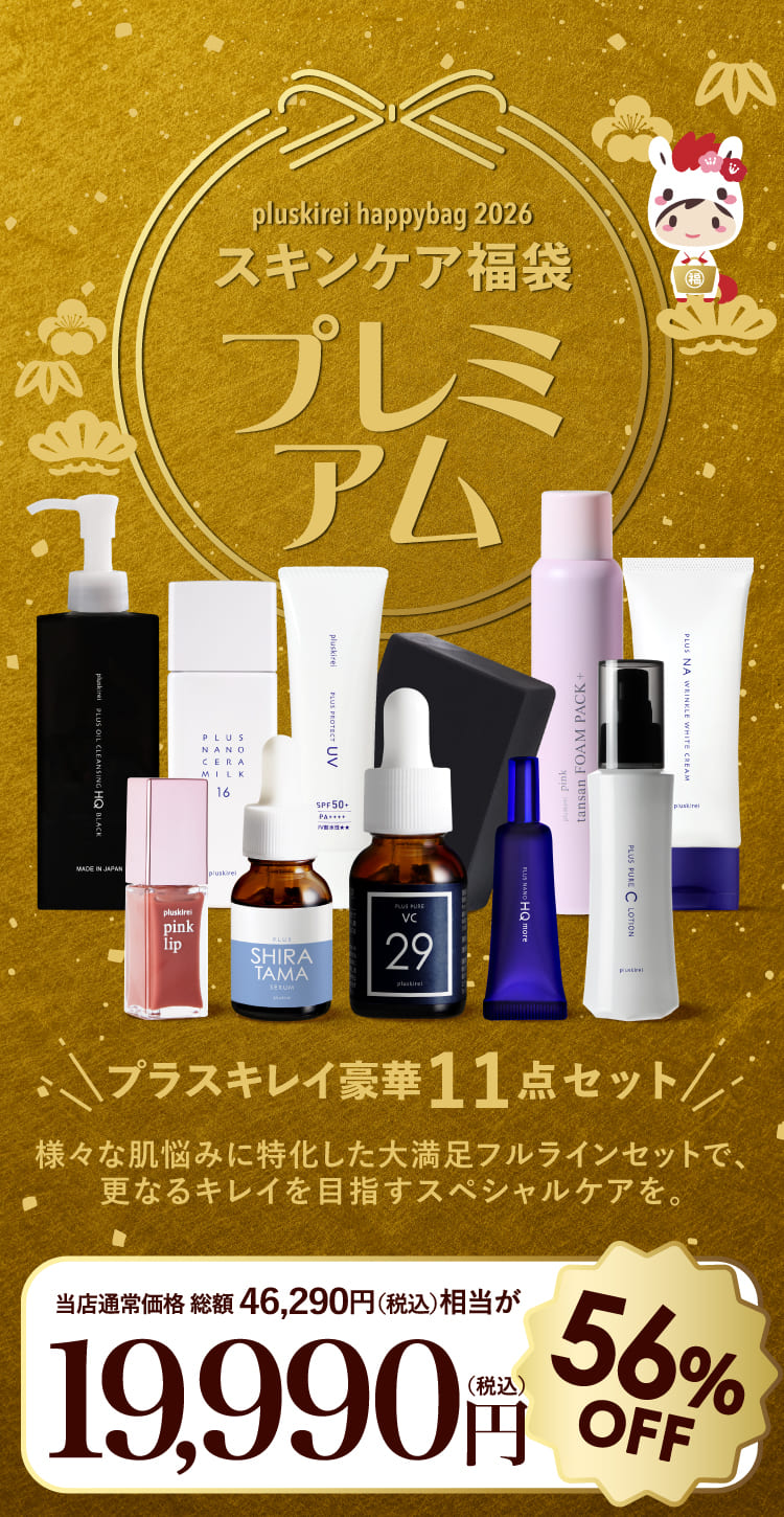 プレミアム/豪華11点セット