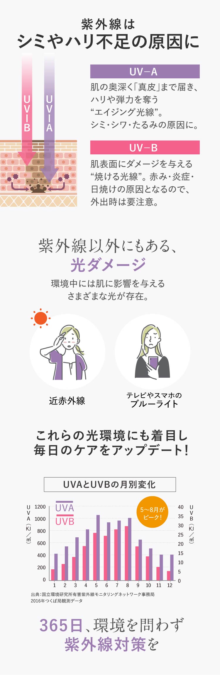 シミやハリ不足の原因に