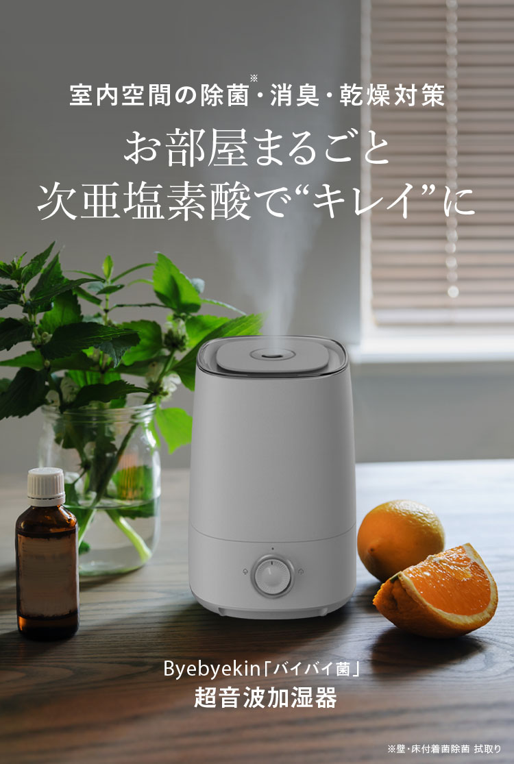 次亜塩素酸水 噴霧器 加湿器 RL-W2011 ジアニスト 2.5L