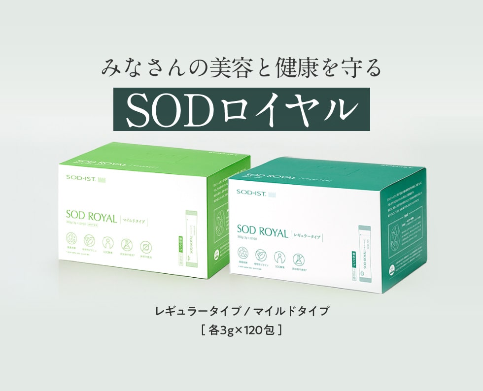 SALE格安値下げ【2箱】SODロイヤル レギュラータイプ 丹羽SOD様食品 120包×2 その他