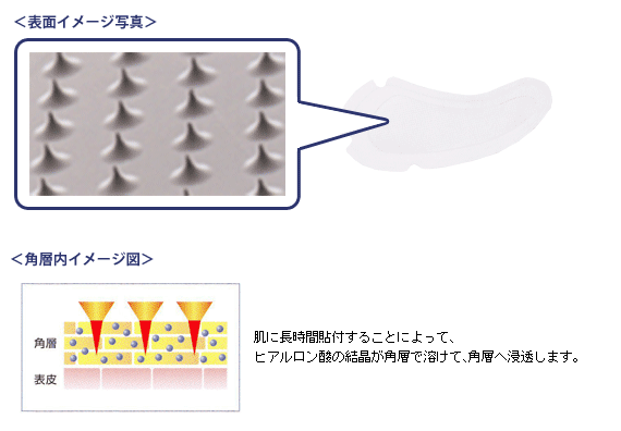 ナビジョン