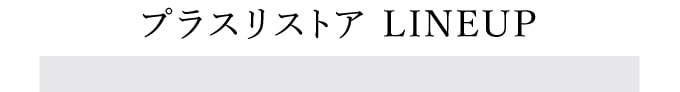 プラスリストア商品ラインナップ