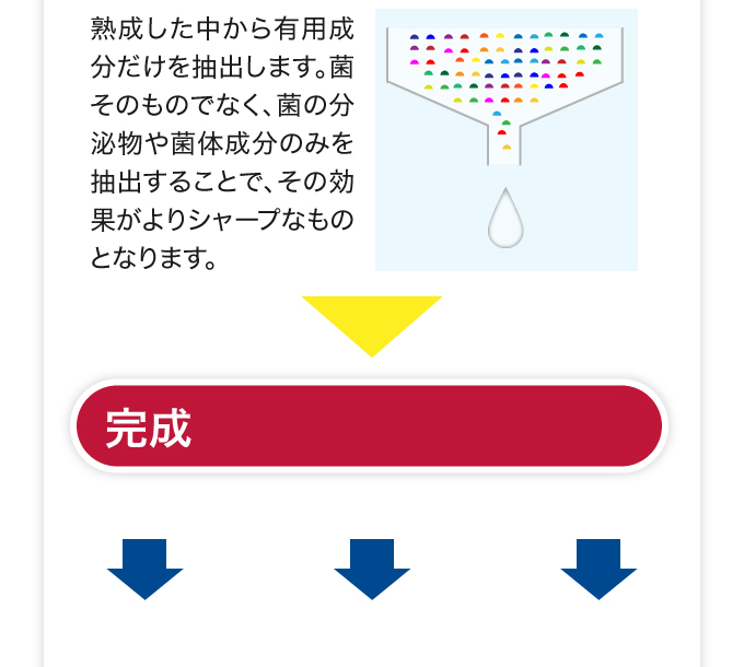 乳酸菌生成エキスL-16ができるまで3